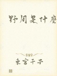 野周是什么意思封面