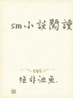 sm小说阅读