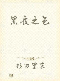 黑夜之色封面