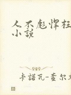 人不彪悍枉少年小说封面