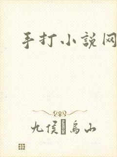 手打小说网封面