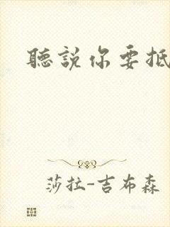 听说你要抵抗我封面