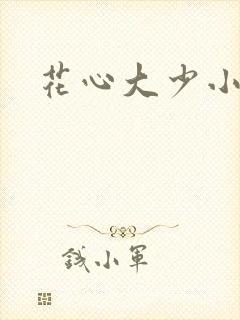 花心大少小说