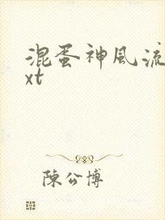 混蛋神风流史txt封面