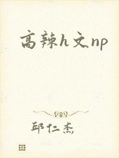 高辣h文np