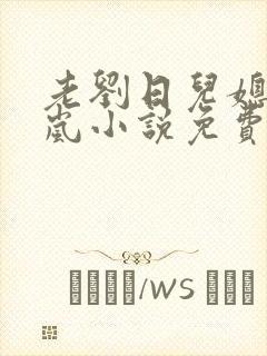 老刘日儿媳妇张岚小说免费阅读