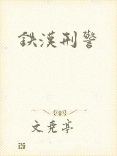 铁汉刑警封面
