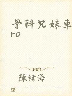 骨科兄妹车多pro