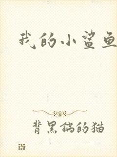 我的小鲨鱼封面