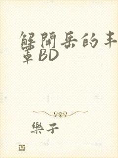 解开岳的丰满奶罩BD