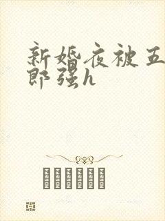 新婚夜被五个伴郎强h