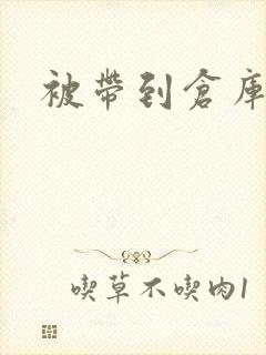 被带到仓库糟蹋封面