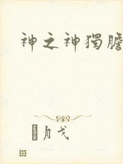 神之神独胆王封面