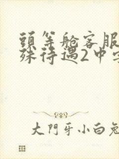 头等舱客服的特殊待遇2中字封面