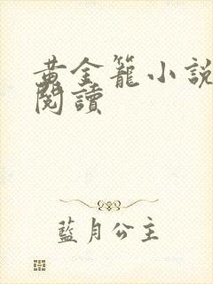 黄金笼小说免费阅读