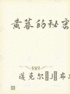 黄蓉的秘密封面