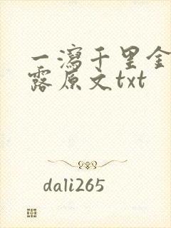 一泻千里金银花露原文txt封面