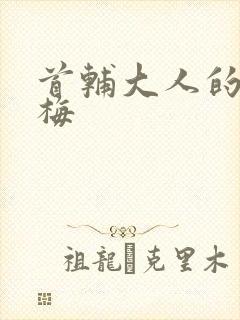 首辅大人的小青梅