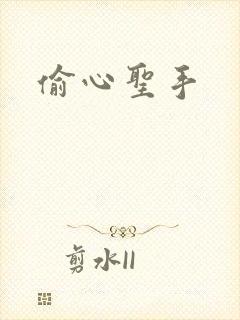 偷心圣手