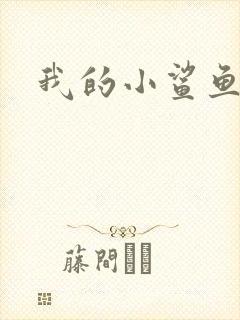 我的小鲨鱼封面