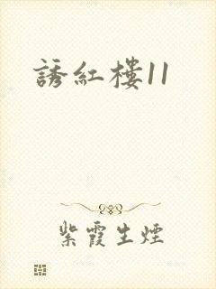 诱红楼11