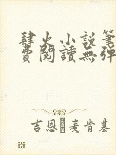 肆火小说笔趣免费阅读无弹窗