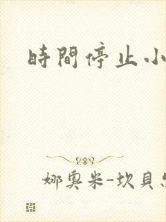 时间停止小说