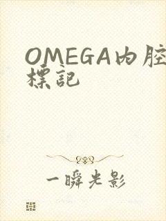OMEGA内腔标记封面