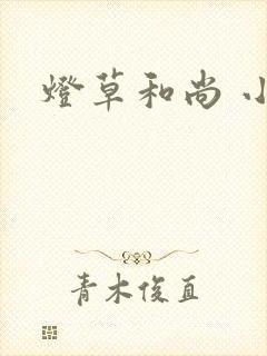 灯草和尚 小说