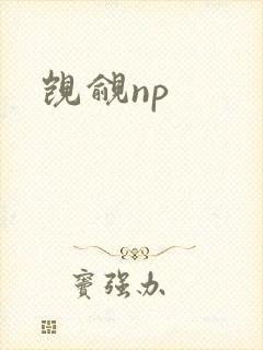 觊觎np