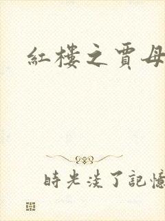 红楼之贾母封面