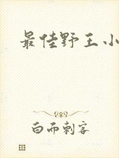 最佳野王小说封面