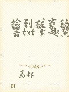 捡到校霸的遥控器txt笔趣阁