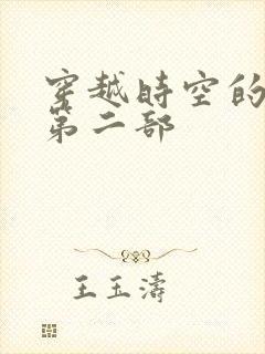 穿越时空的爱恋第二部封面