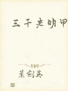 三千光明甲封面