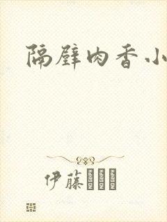 隔壁肉香小说