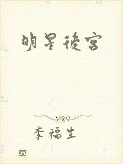 明星后宫