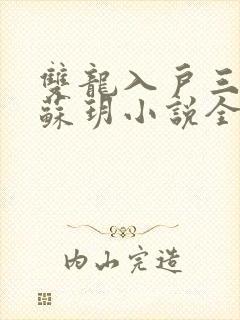 双龙入户三人行苏玥小说全文阅读封面