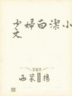 少妇白洁小说全文