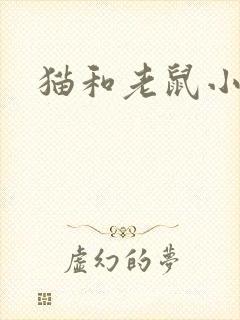 猫和老鼠小说
