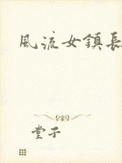 风流女镇长封面