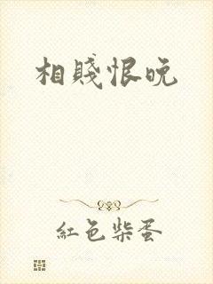 相贱恨晚封面