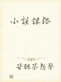 小说银狐