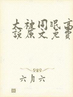 大被同眠高粱小说原文免费阅读