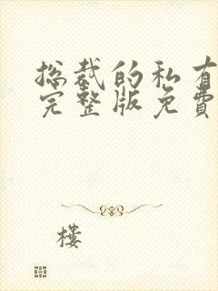 总裁的私有宝贝完整版免费阅读