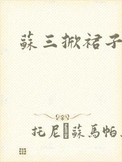 苏三掀裙子封面