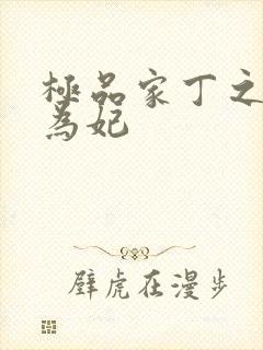 极品家丁之册母为妃