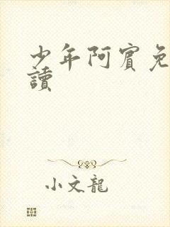 少年阿宾免费阅读