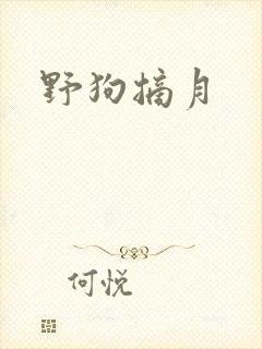 野狗摘月
