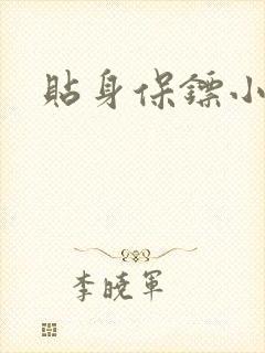 贴身保镖小说封面